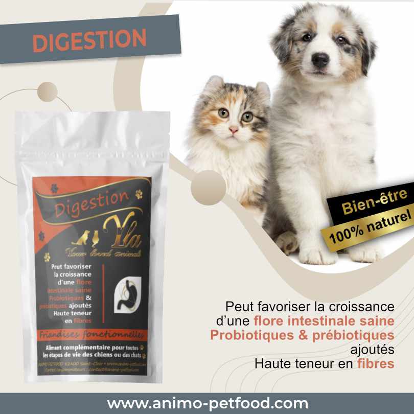 friandises-aide-digestion-pour-chien-et-chat